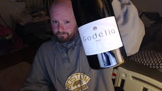 Wine Review Godelia Mencia Bierzo 2012  TheWineStalkernet [upl. by Terpstra]