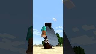 ARMOR ed ELYTRA INSIEME in MINECRAFT VANILLA [upl. by Nizam]