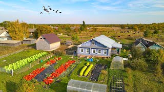 One Day in Life of the village Family in Russia Autumn In The Russian North [upl. by Yerxa]