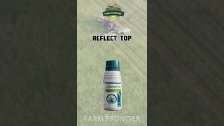 Reflect Top Syngenta fungicide  Isopyrazam 115  Difenoconazole 115 WW SC syngenta shorts [upl. by Drake]