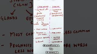 Carcinoma  Sarcoma  Cancer types [upl. by Manlove]