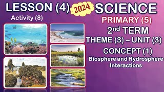 Science 2024 \ Primary 5 2nd term\ Unit 3 Concept 1 Lesson 4 Types of Aquatic Ecosystems [upl. by Osbourn]