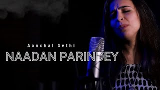 Nadaan Parindey  Aanchal Sethi  Female Cover unplugged AR Rahman [upl. by Tedmann256]