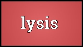 Lysis Meaning [upl. by Euqinomod655]