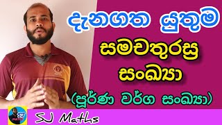 Samachathurasra sankaya hadhuna ganimu  සමචතුරස්‍ර සංඛ්‍යා හදුනා ගනිමු  Square Numbers  SJ maths [upl. by Frisse]