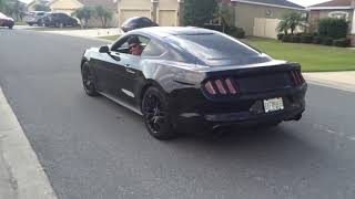 V6 2015 Mustang Straight Pipe [upl. by Ebehp]