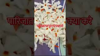 Parijat ka puspa Sankar bhagwan ko Arpit kijiye Jai bholenath please like and subscribe everyone 💞💞💞 [upl. by Omrellig]