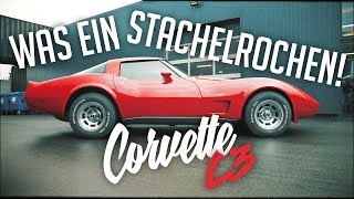 JP Performance  Was ein Stachelrochen  Chevrolet Corvette C3 [upl. by Idnim]