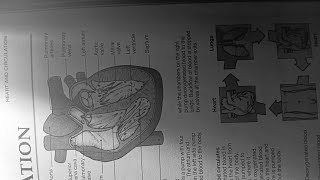 South African Soccer players should train more privately in very difficult weather Conditions Okay [upl. by Allebram]