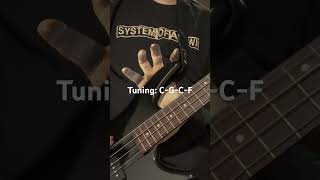 Sugar by System Of A Down bass cover [upl. by Fitzsimmons]