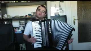 Godfather Waltz  AkkordeonAccordion [upl. by Mauer]