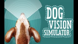 Dog Vision Simulator  Android App [upl. by Hearsh]