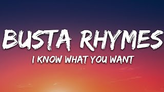 Busta Rhymes Mariah Carey  I Know What You Want Lyrics ft Flipmode Squad [upl. by Ire342]