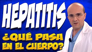 HEPATITIS  ¿Qué pasa dentro del cuerpo de las personas que la padecen [upl. by Selassie426]