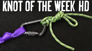 Go Hands Free on Belay with the Munter Mule  ITS Knot of the Week HD [upl. by Semela]