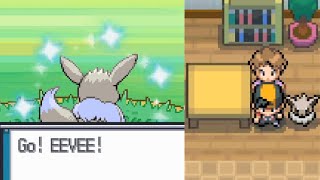 Live Shiny Eevee after 13556 Soft Resets in HeartGold [upl. by Ambrosio513]