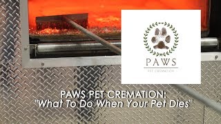 Paws Pet Cremation  What Do You Do When Your Pet Dies [upl. by Ecenaj]