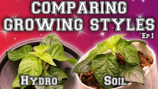 Soil vs Aeroponics vs Dwc vs Kratky  Ep1 [upl. by Yrrat]