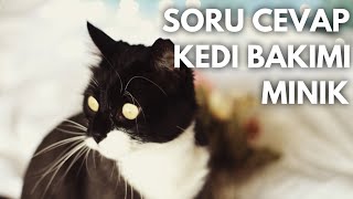 KEDİ BAKIMI  MİNİK  SORU CEVAP [upl. by Duwalt]