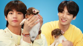 BTS Plays With Puppies While Answering Fan Questions [upl. by Roslyn]