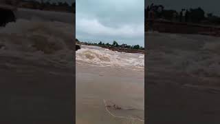 लूनी नदीलूंगिया रपट Luni River Riyan Badi 2024 [upl. by Pavlish]