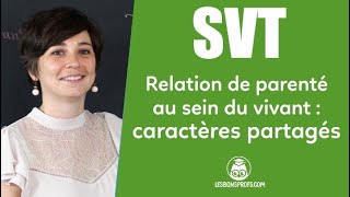 Relations de parenté au sein du vivant  caractères dérivés partagés 2  SVT  Les Bons Profs [upl. by Anyt330]