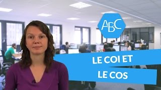 Cours de français 6ème  le COI et le COS [upl. by Ecinwahs]