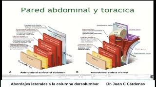 Abordajes laterales a la columna dorsolumbar [upl. by Inwat640]