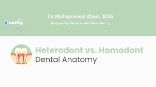 Heterodont vs Homodont [upl. by Ielhsa]