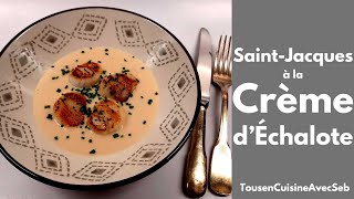 SAINTJACQUES à la CRÈME dÉCHALOTES Tous en cuisine avec Seb [upl. by Hannahoj224]