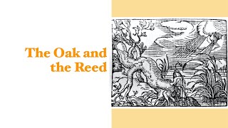 The Oak and the Reed [upl. by Nevah]