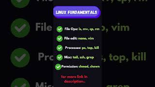 Unlock the Power of Linux with These Quick Commands 🚀 shorts linux developer ubuntu grep [upl. by Aneekan]