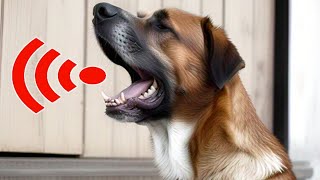 Dog Barking Loudly Sound Effect [upl. by Noakes]