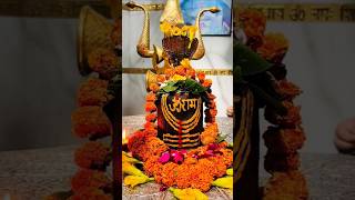 🔱Sandhya Shivji Bhakti Bholenath Shankara🙏 mahadev shiv mahakal bhakti india viralshorts [upl. by Auqenet]