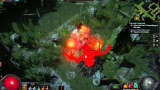 Path of Exile  Trial of Ascendancy 4  Trial of Stinging Doubt The Lords Labyrinth [upl. by Aihsemak821]