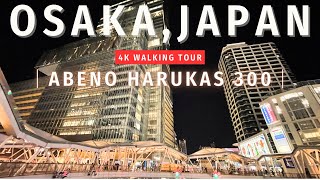 日本で2番目に高いビル あべのハルカス300 空中散歩 in OSAKAJAPAN 4K Sky Walking Tour 【4K HDR 24fps】 [upl. by Ciprian]