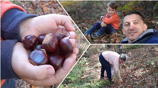 Për Gështenja 🌰 youtube nature video AdiTube [upl. by Alyssa]