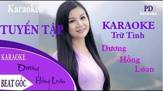 KARAOKE TRỮ TÌNH  TUYỂN TẬP KARAOKE MỚI NHẤT của DƯƠNG HỒNG LOAN [upl. by Feledy197]