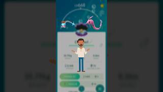 clamperl evolve in Pokemon go  pokemongo pokemon [upl. by Ettenaj72]