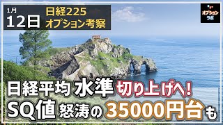 【日経225オプション考察】112 日経平均 水準を一段階切り上げへ！ SQ値 35000円台もありえるぞ！ [upl. by Jer]