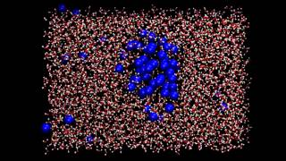 Molecular dynamics Hydrophobic effect [upl. by Aratak668]