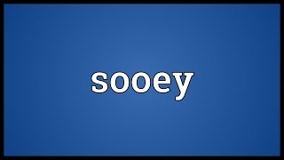 Sooey Meaning [upl. by Mixam]