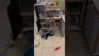 Situation voll ausgenutzt😂😜 humor comedy funny family unterhaltung familie kids [upl. by Domingo]