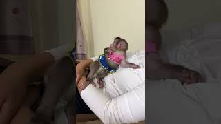 Cute Girl Baby LInda Sleeping On Mom [upl. by Savell]