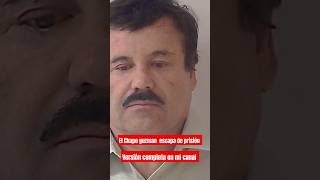 Corrido prohibido EL CHAPO GUZMAN 2024 [upl. by Neroled775]