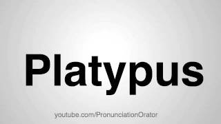 How to Pronounce Platypus [upl. by Aljan]