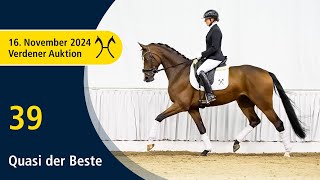 No 39 Quasi der Beste by QSieben  Sancisco  Verden Auction Online  Sporthorses  November 16th [upl. by Nodyl409]