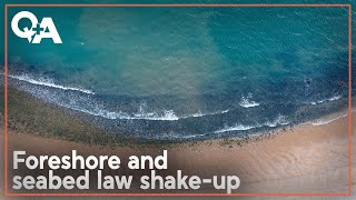 Explained The Govts foreshore and seabed law shakeup  QA 2024 [upl. by Santa]