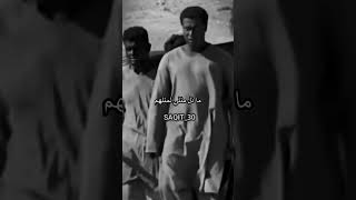 حالات واتس اب حماسيه 2024عنتره بن شدادينادوني في السلم يبن زبيبتن دوسلايكواشتراك [upl. by Lorne287]