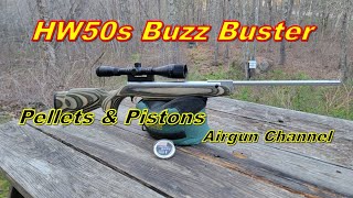 Simple Spring Buzz Fix featuring The Custom HW50S Air Rifle [upl. by Bocaj]